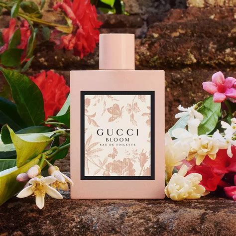 gucci edt review|Gucci bloom perfume.